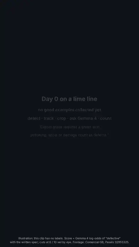A vertical video of limes moving away from the camera on two sorting lanes. Coloured boxes follow individual limes and show OK, PERSON or REJECT; a dashed counting line crosses the lanes, three counters at the top count OK, PERSON and REJECT as limes cross it, and a strip at the bottom shows the isolated crops the model was given.