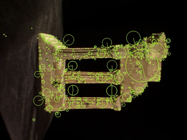 SIFT keypoints detected on one temple photograph, drawn with their detected scale.