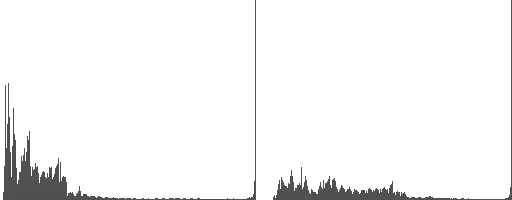 dark (left) and reference (right)